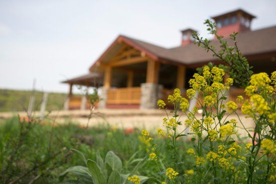 Mountain View Vineyard